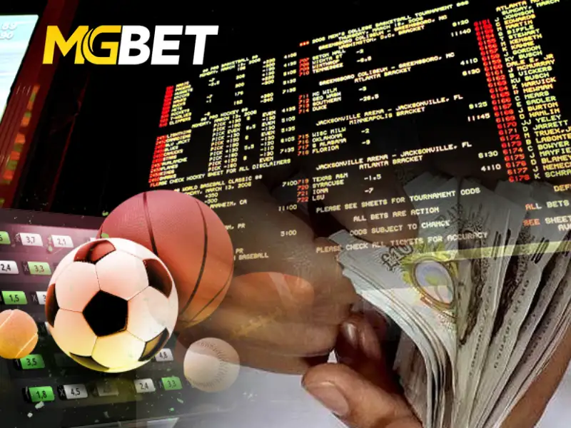 MGbet Esportes – 3 Os 4 esportes mais populares da MGbet hoje